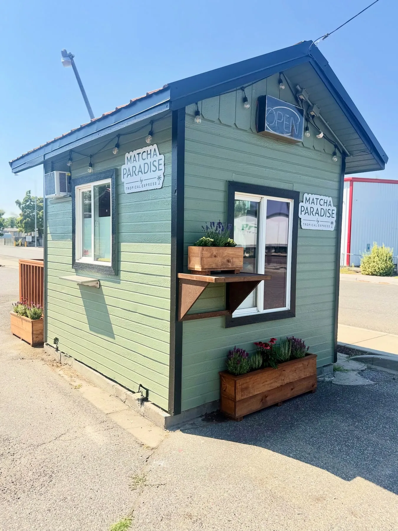 The Matcha Paradise stand in Kennewick: a small sage-green building with dark trim, two Matcha Paradise by Tropical Express signs, a lit OPEN sign, string lights, and cedar flower boxes under the service window